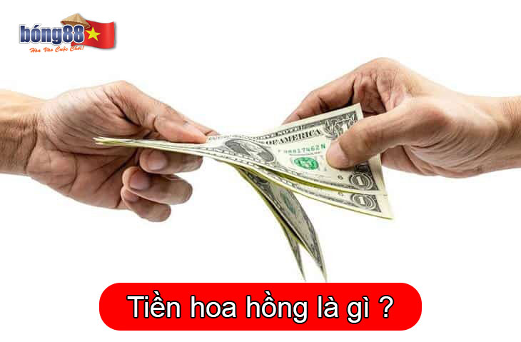 Định nghĩa tiền hoa hồng